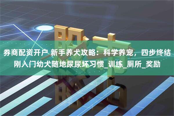 券商配资开户 新手养犬攻略:科学养宠,四步终结刚入门幼犬随地尿尿坏习惯_训练_厕所_奖励