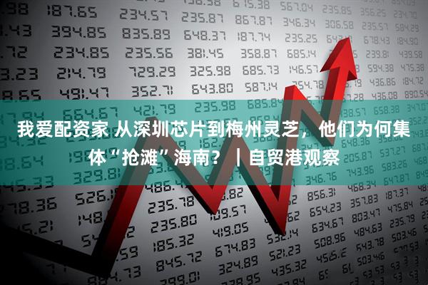 我爱配资家 从深圳芯片到梅州灵芝，他们为何集体“抢滩”海南？｜自贸港观察