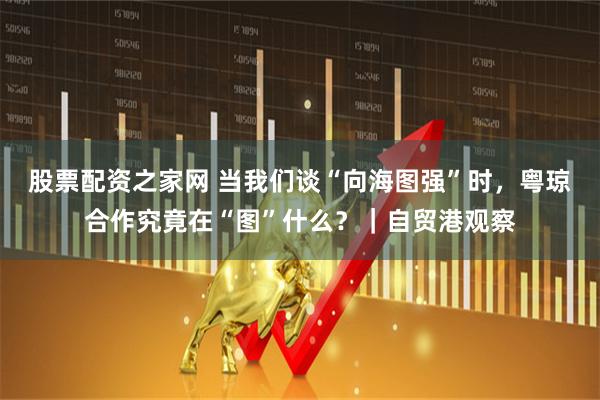 股票配资之家网 当我们谈“向海图强”时，粤琼合作究竟在“图”什么？｜自贸港观察